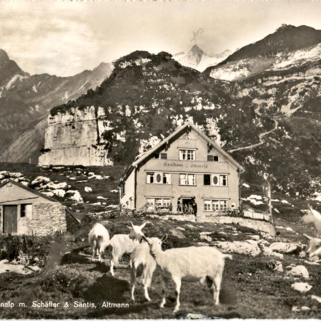 Foto_2024-05-09_130736